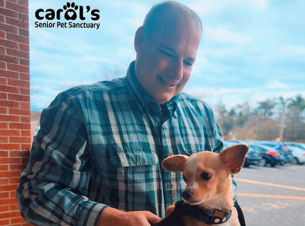 Carol genovesi senior pet sanctuary