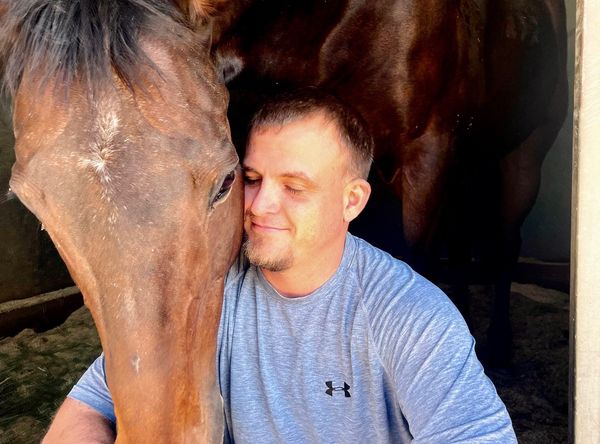 Rising Phoenix Thoroughbred Rescue