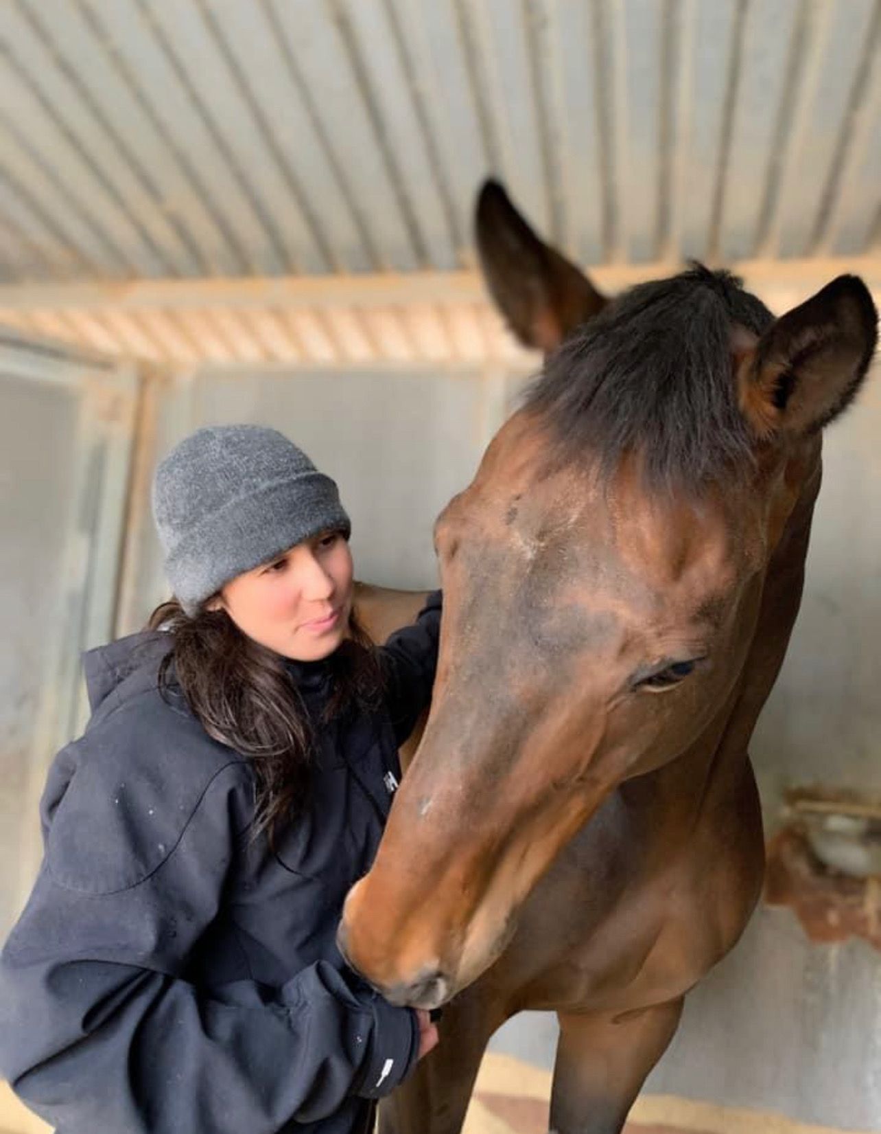 Rising Phoenix Thoroughbred Rescue