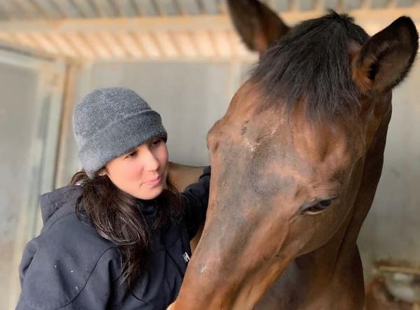 Rising Phoenix Thoroughbred Rescue