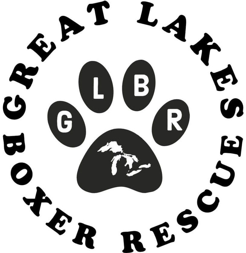 GreatLakes Boxer Rescue
