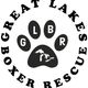 GreatLakes Boxer Rescue