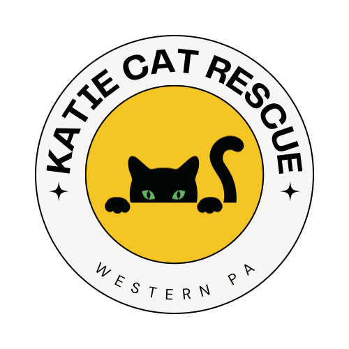 Katies cat Rescue