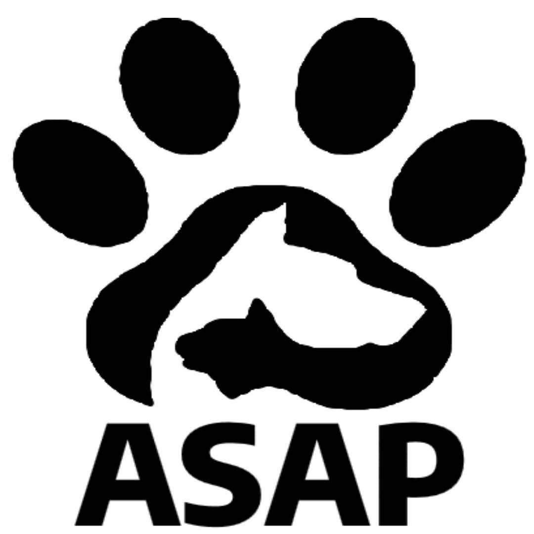 Abilene Stray Animal Program