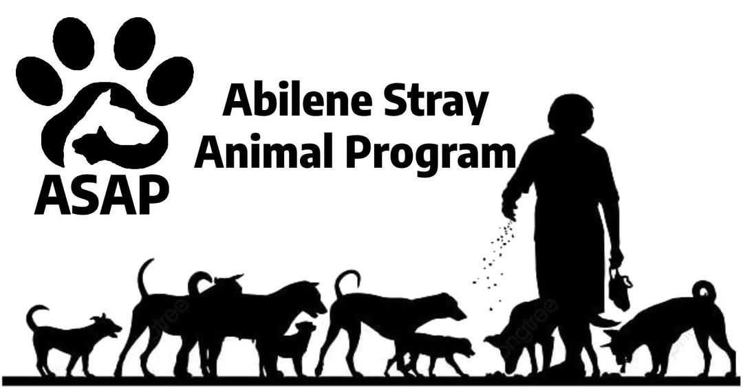 Abilene Stray Animal Program