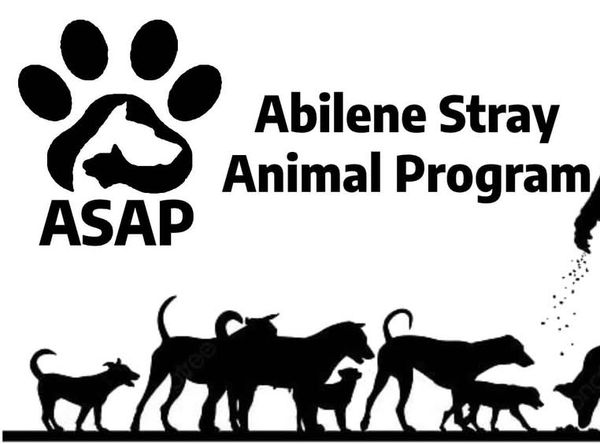 Abilene Stray Animal Program