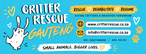 Critter Rescue Gauteng NPC