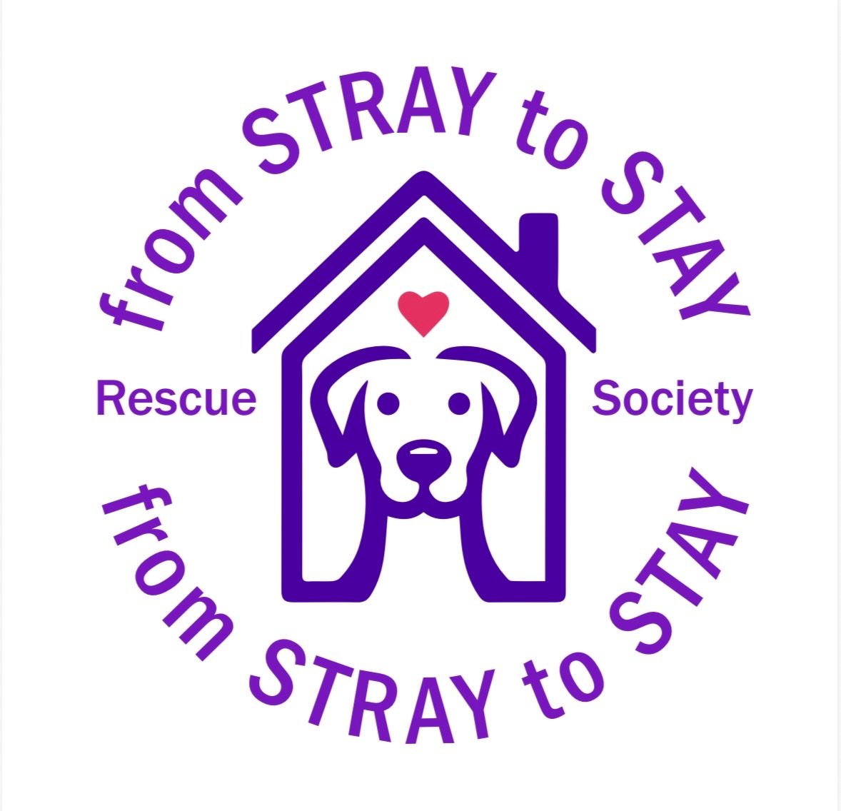 From Stray to Stay Dog Rescue