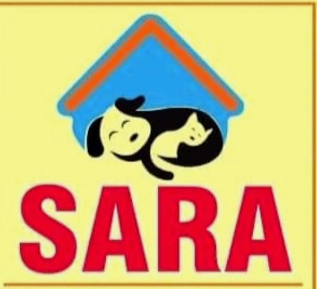 SARA (Syrian Association for rescuing animals)