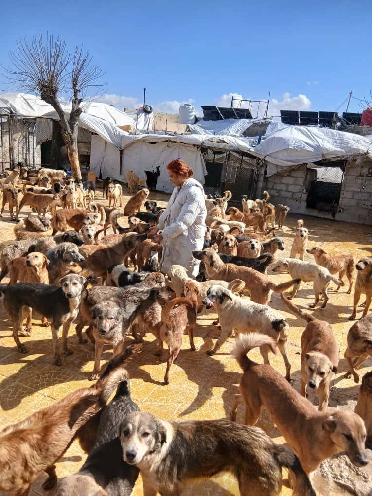 SARA (Syrian Association for rescuing animals)