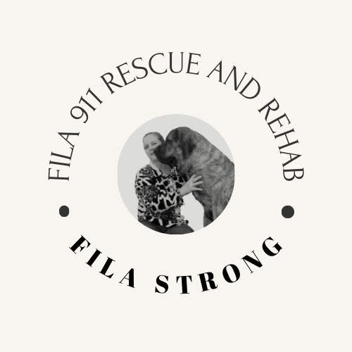 Fila 911 Rescue and Rehab