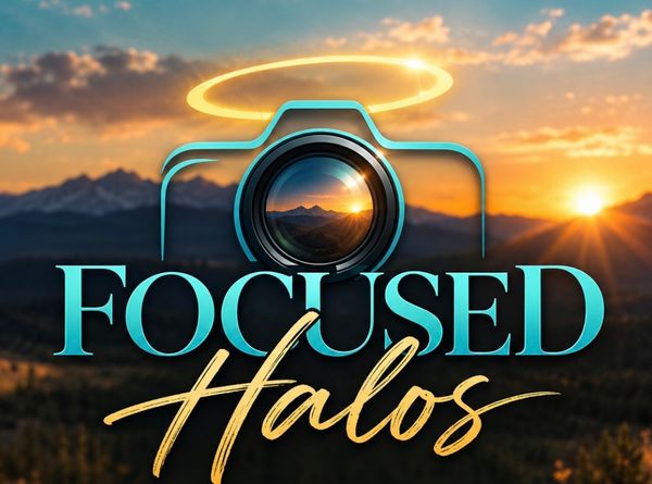 Focused Halos