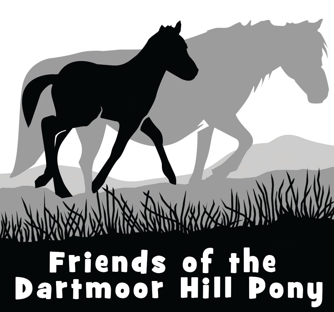 Friends of the Dartmoor Hill Pony