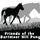 Friends of the Dartmoor Hill Pony