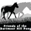Friends of the Dartmoor Hill Pony