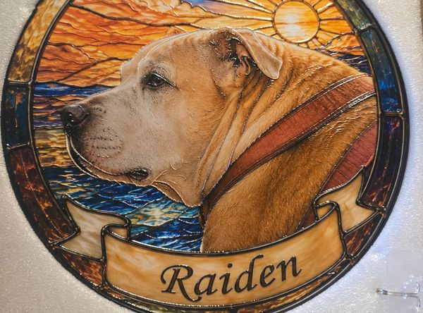 Raidens haven