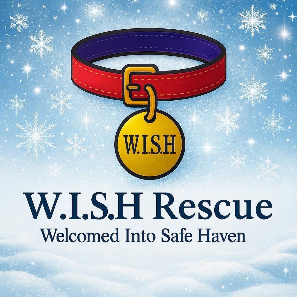 W.I.S.H rescue