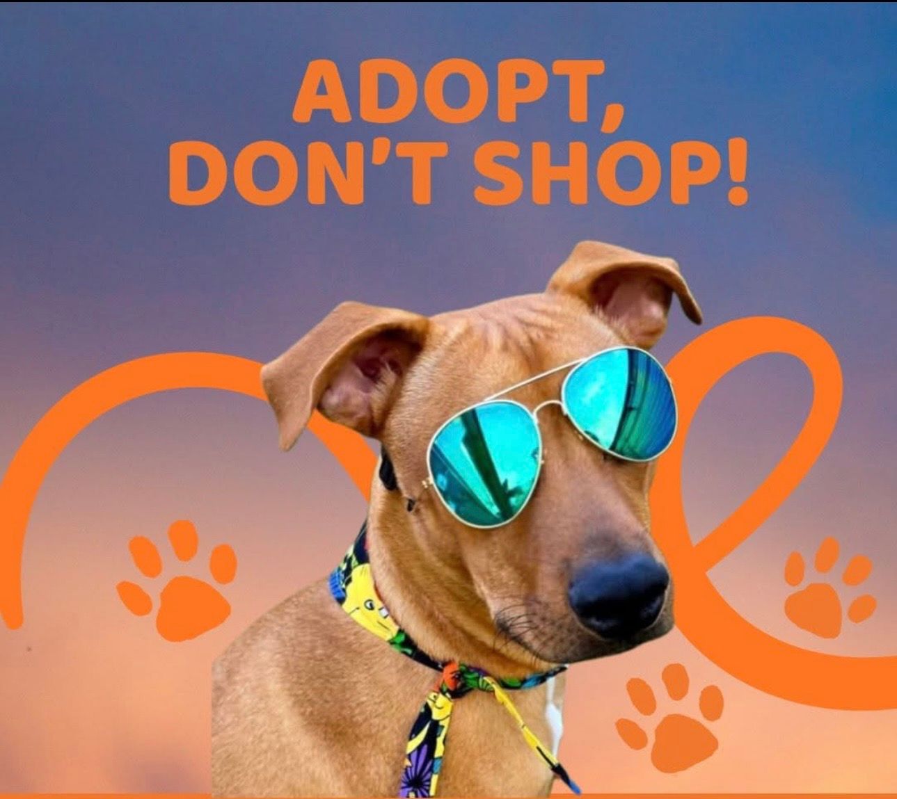 W.I.S.H rescue
