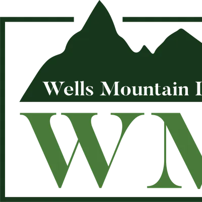 Wells Mountain Initiative
