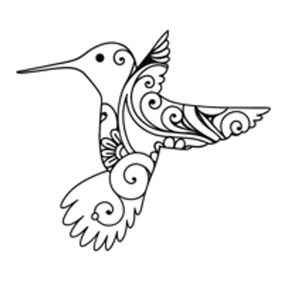 Made for Freedom Foundation
