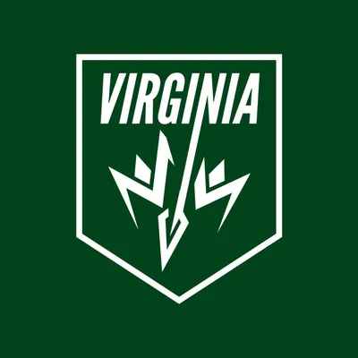 Virginia Roller Derby Network