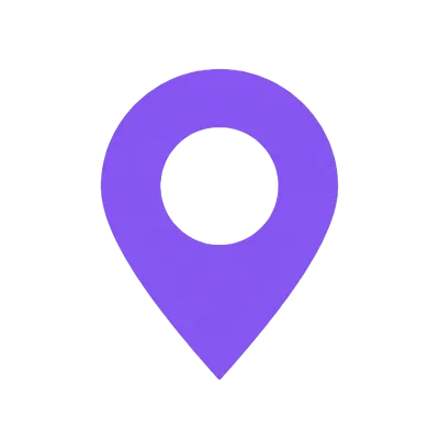 Pinpoint 311