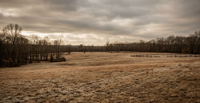 Panoramic view of a wide open Civil War battlefield plain in Fredericksburg Virginia, late autumn winter light, frost-tinged brown grass, bare trees at the far edge, rolling meadow with remnants of old fairground fencing, dramatic overcast sky with low grey clouds, muted earthy palette of brown and beige, photorealistic documentary style, warm sepia undertones referencing the infographic's beige-gold and dark red color scheme