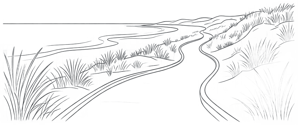 Create a wide minimalist editorial line illustration on a transparent background for a coastal conservation volunteering guide. Use only dark gray #333333 lines with subtle light gray #F5F5F5 shading. Depict a gently winding designated coastal access path beside intact dune vegetation, with calm shoreline contours in the distance. Keep all vegetation undisturbed and show no people entering dunes or approaching wildlife. Elegant thin organic strokes, spacious composition, horizontal panoramic framing, no text, no labels, no logos, no numbers.