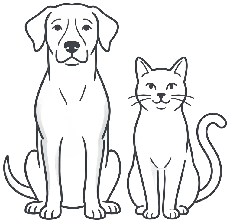 Create an inviting minimalist editorial illustration of a seated shelter dog and cat side by side, the dog slightly taller with floppy ears and the cat upright with a gently curled tail. Use expressive but restrained charcoal #333333 contour lines with light gray #F5F5F5 fill accents and generous negative space on a transparent background. Friendly, calm, dignified animals rather than cartoon caricatures. Balanced square composition, full bodies visible, no collars with lettering, no text, no logos, no scenery. Match a refined monochrome community pet-adoption infographic.