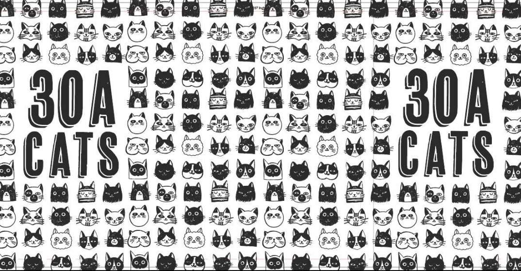 30A Cats