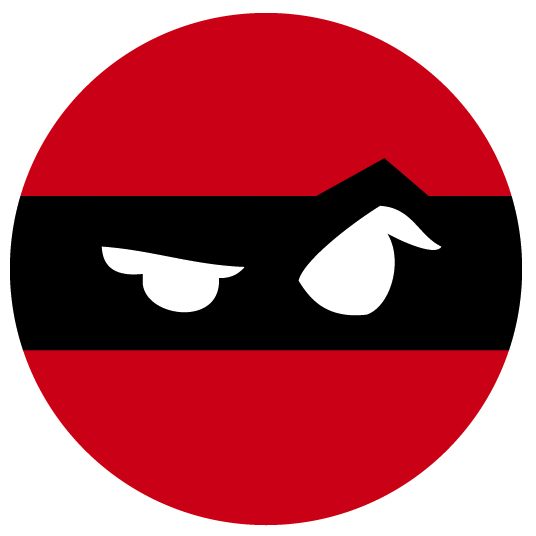 Window and Gutter Cleaning Ninjas