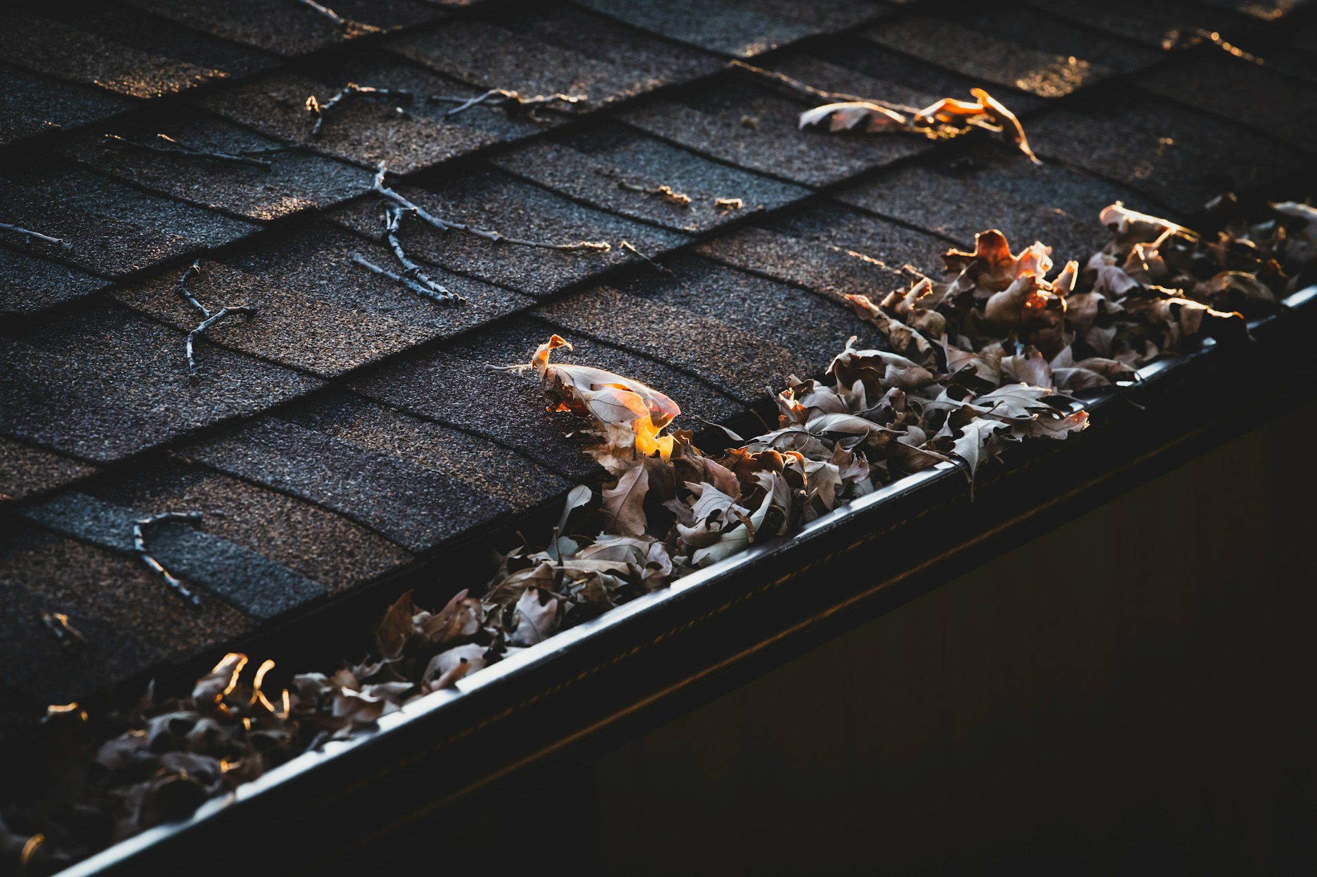 The Silent Struggle Above Your Head: How to Know When Your Gutters Need a Cleanup