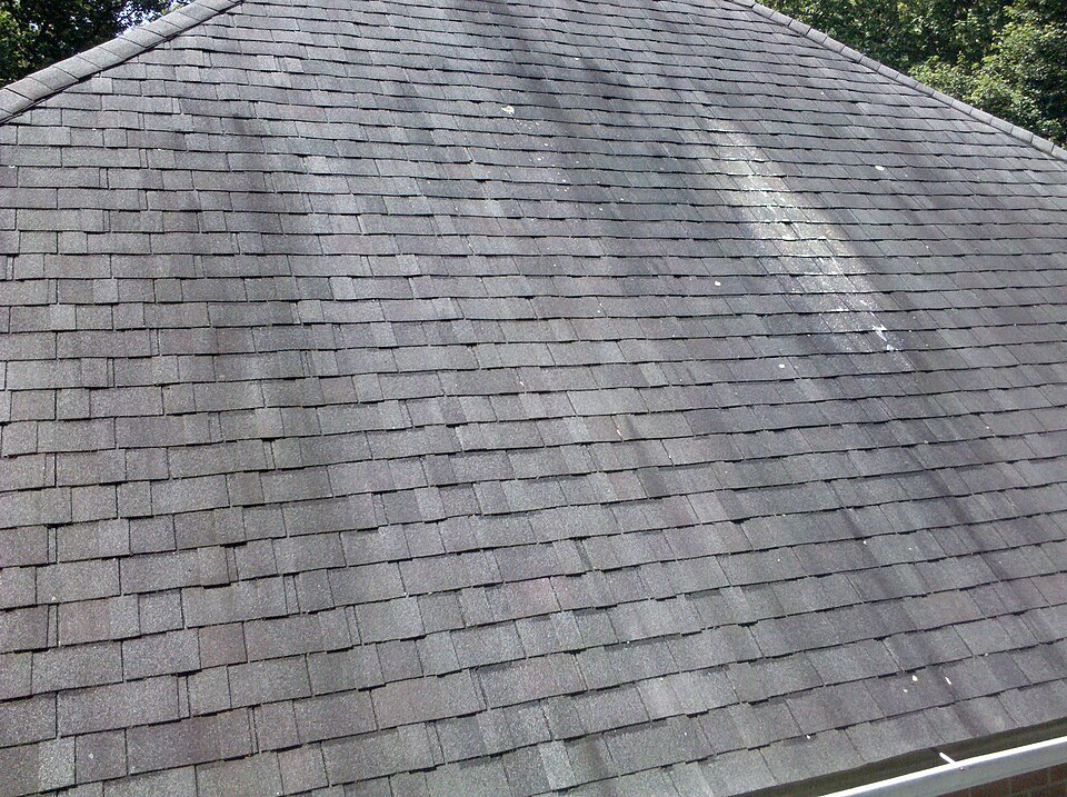 What Causes Black Streaks on Your Roof? Understanding Gloeocapsa Magma