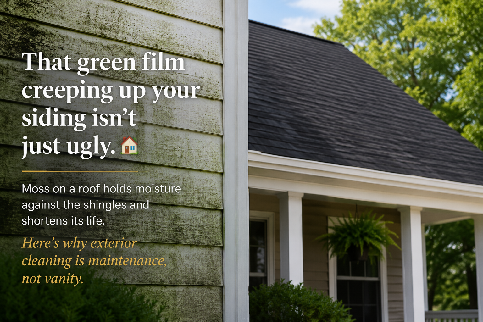 Moss, Mildew, and Grime: Why Washington Homes Need a Good Wash