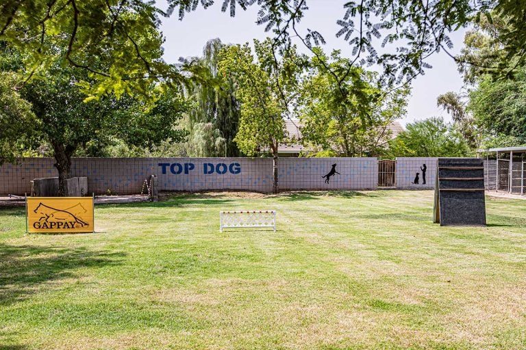 Top Dog Boarding and Training