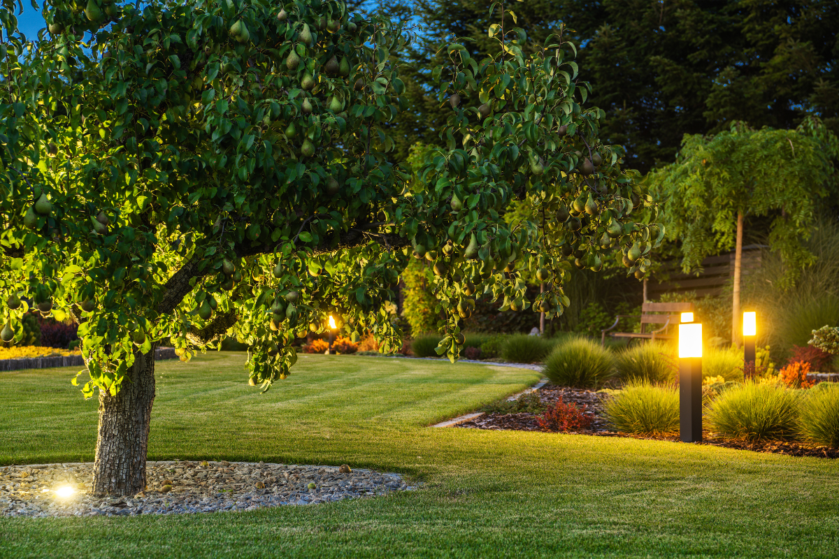 Landscape Lighting: Enjoy Your Yard After the Sun Goes Down