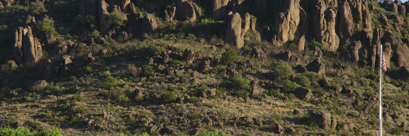 Davis Mountains Inn and South Gate Lodges