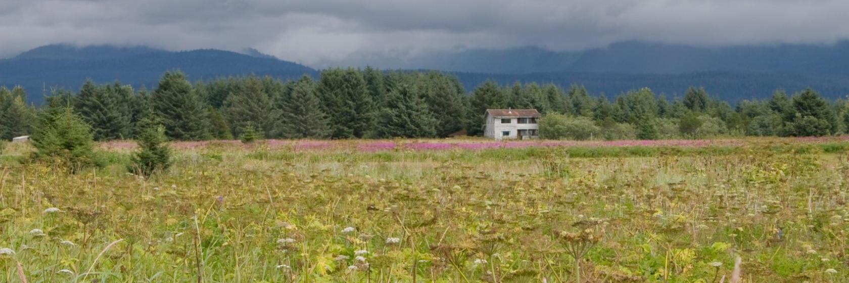 Gustavus Inn at Glacier Bay