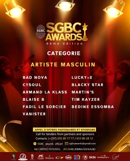 MEILLEUR ARTISTE MASCULIN