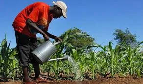 SCIDIE AWARDS du Meilleur Entrepreneur ou entreprise agricole d'Afrique