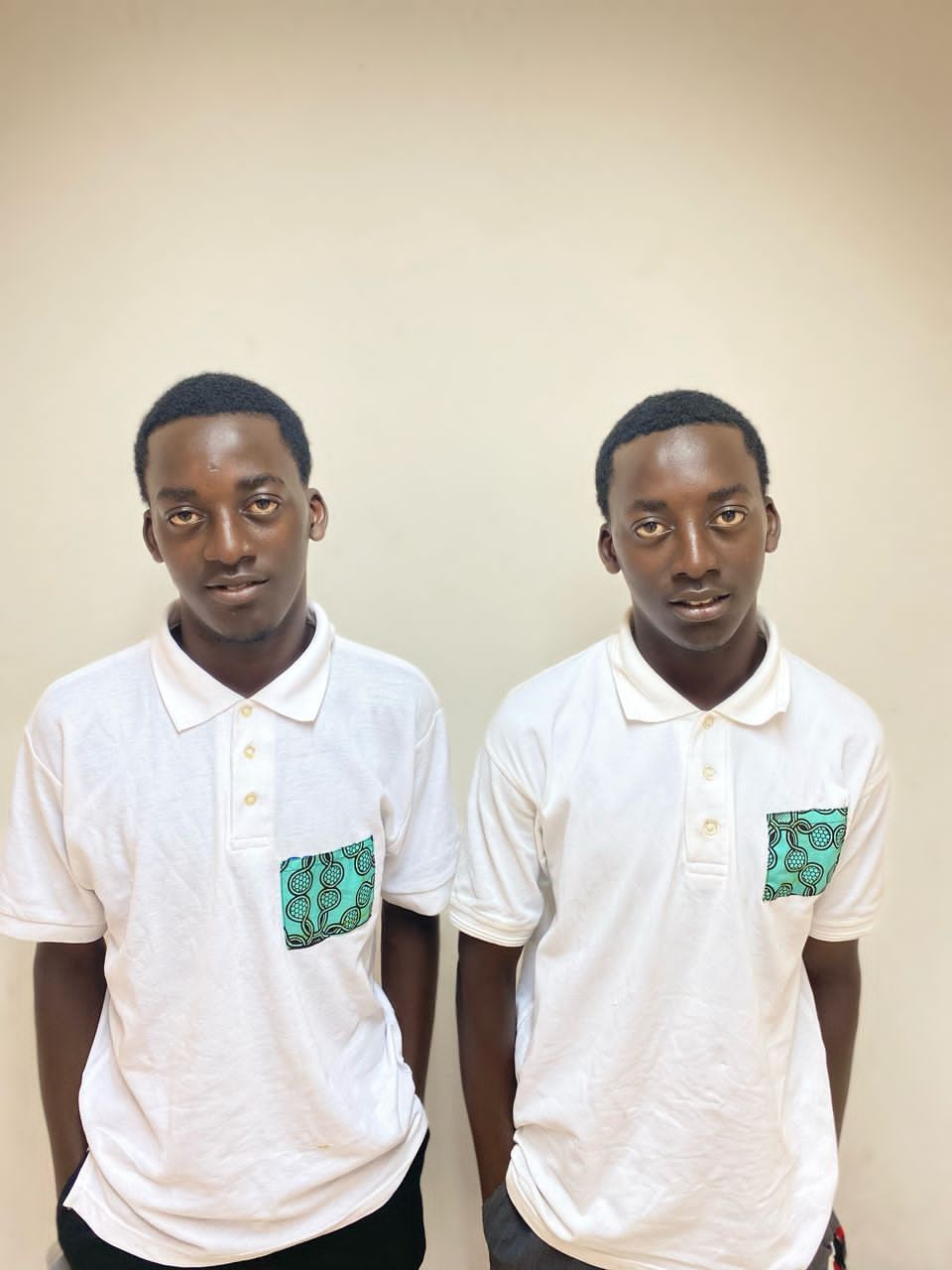 Les  zestu du mbolé