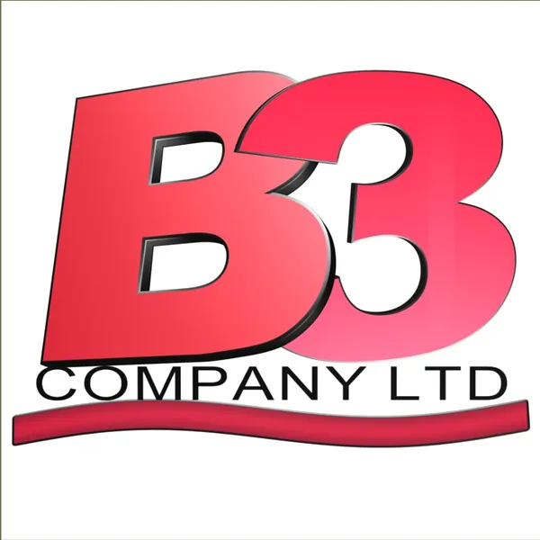 B3 COMPANY LTD