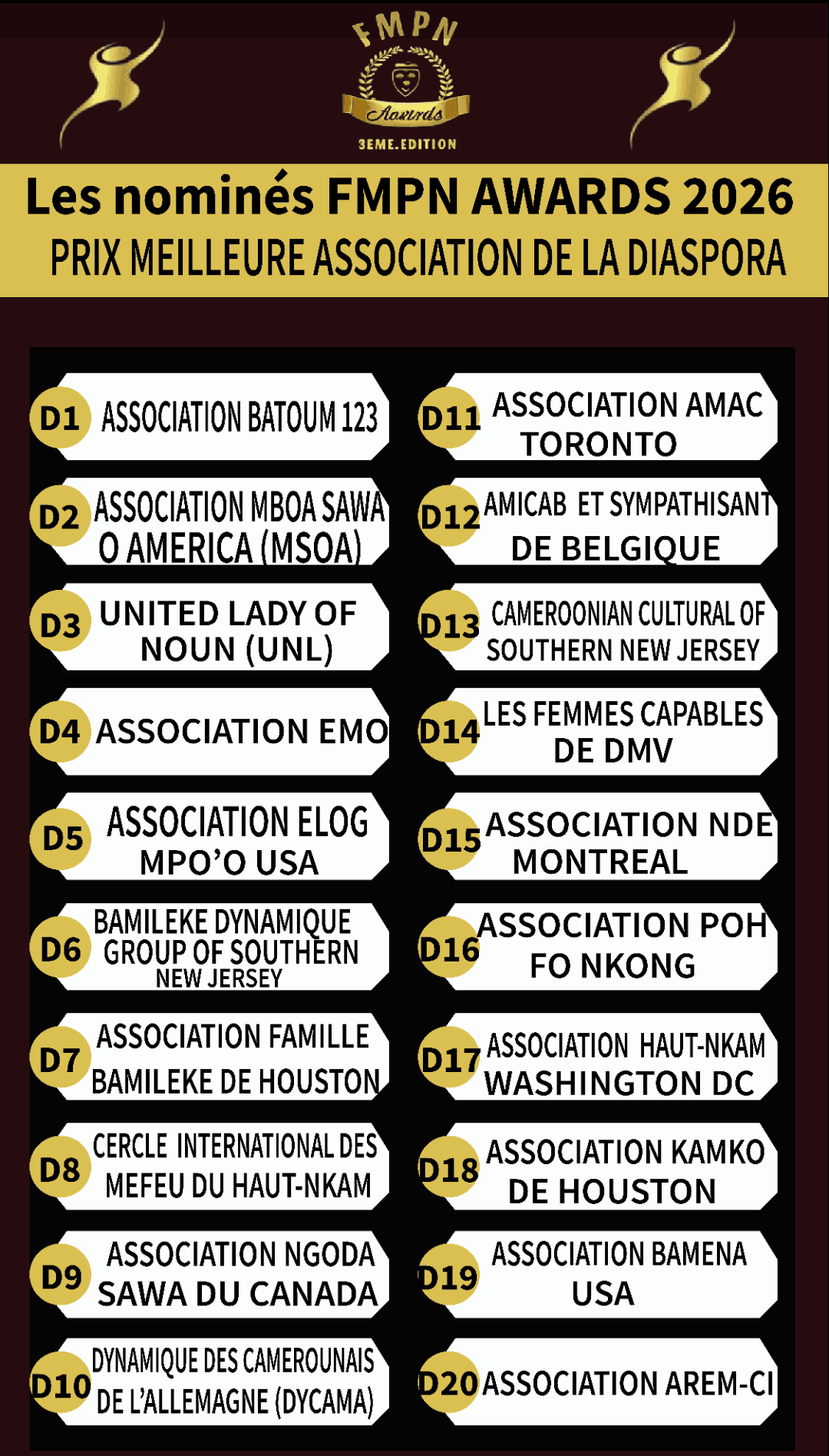 Meilleure Association de la Diaspora 