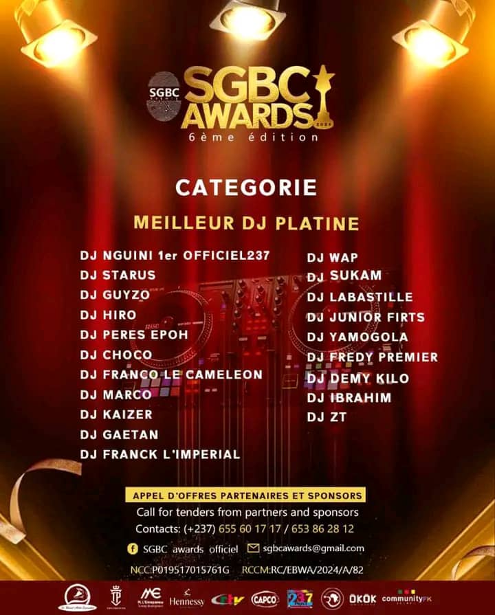 MEILLEUR DJ PLATINE