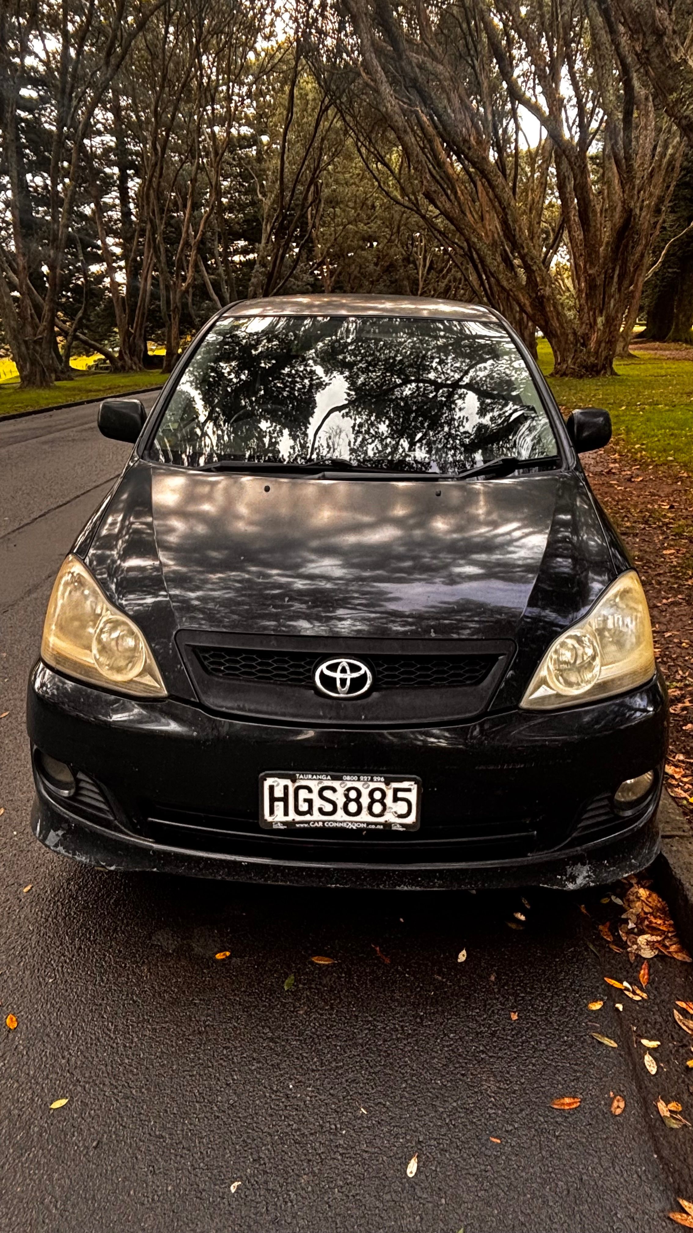 main photo