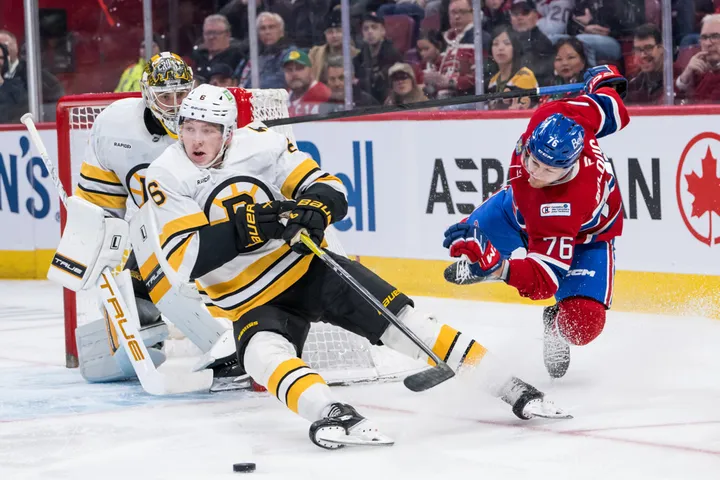 Blood Feud on Ice: 3 NHL Rivalries Every Sports Fan Should Know