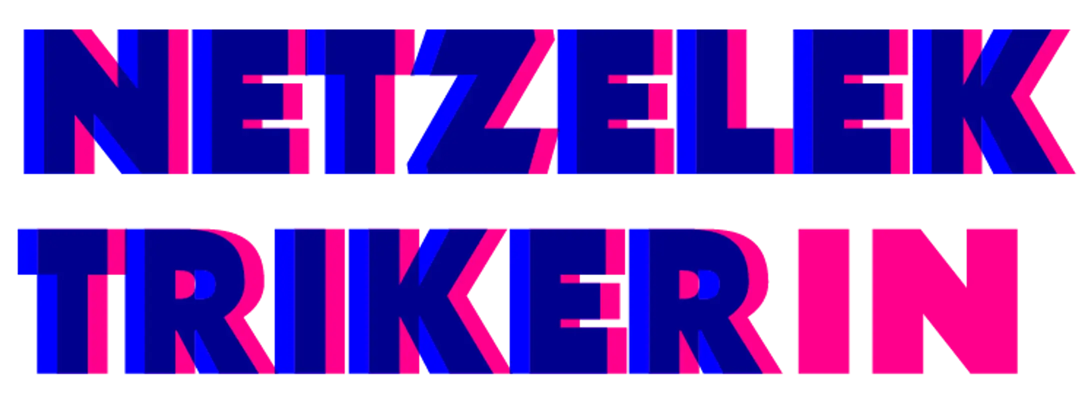 Netzelektriker.ch