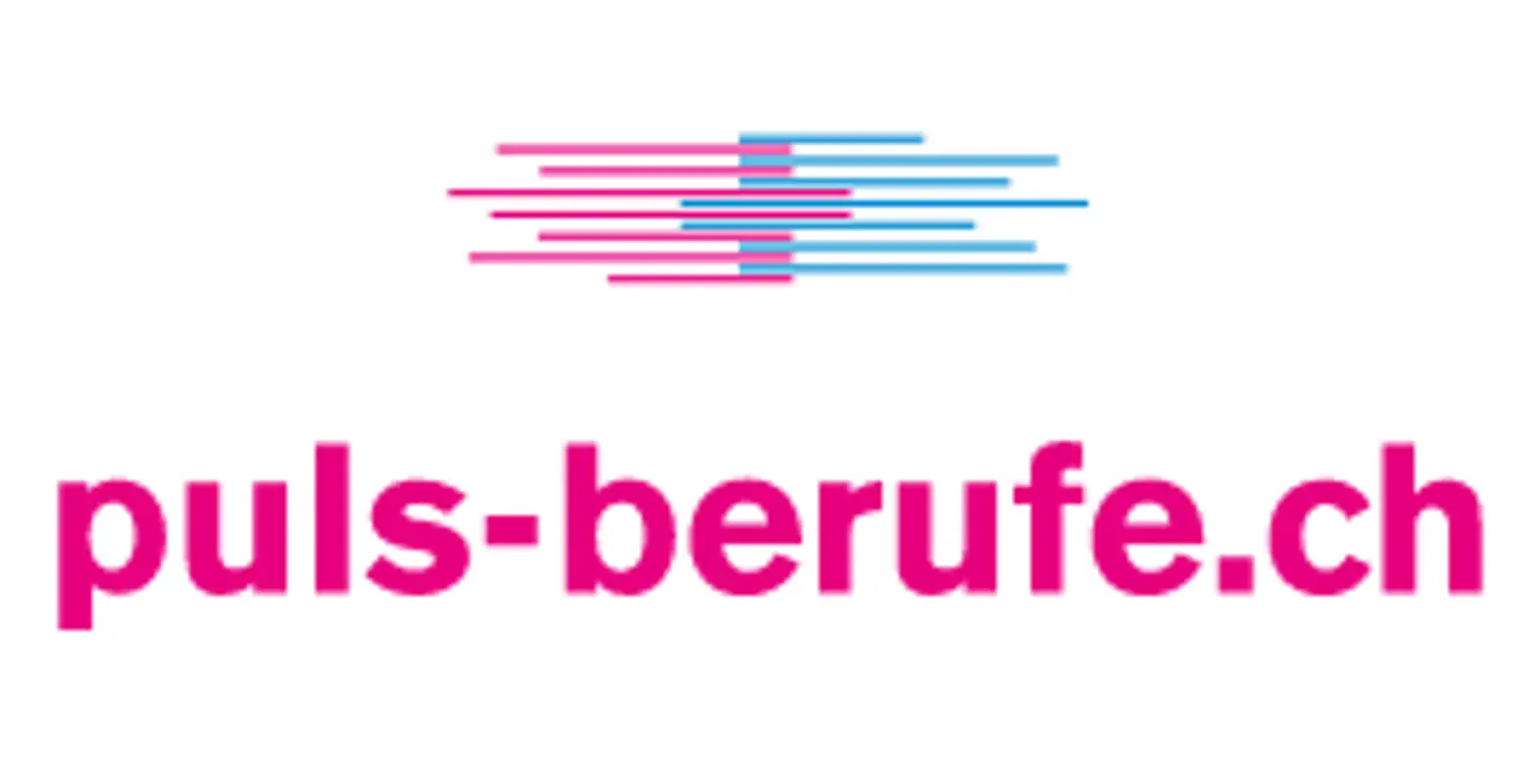 puls-berufe.ch