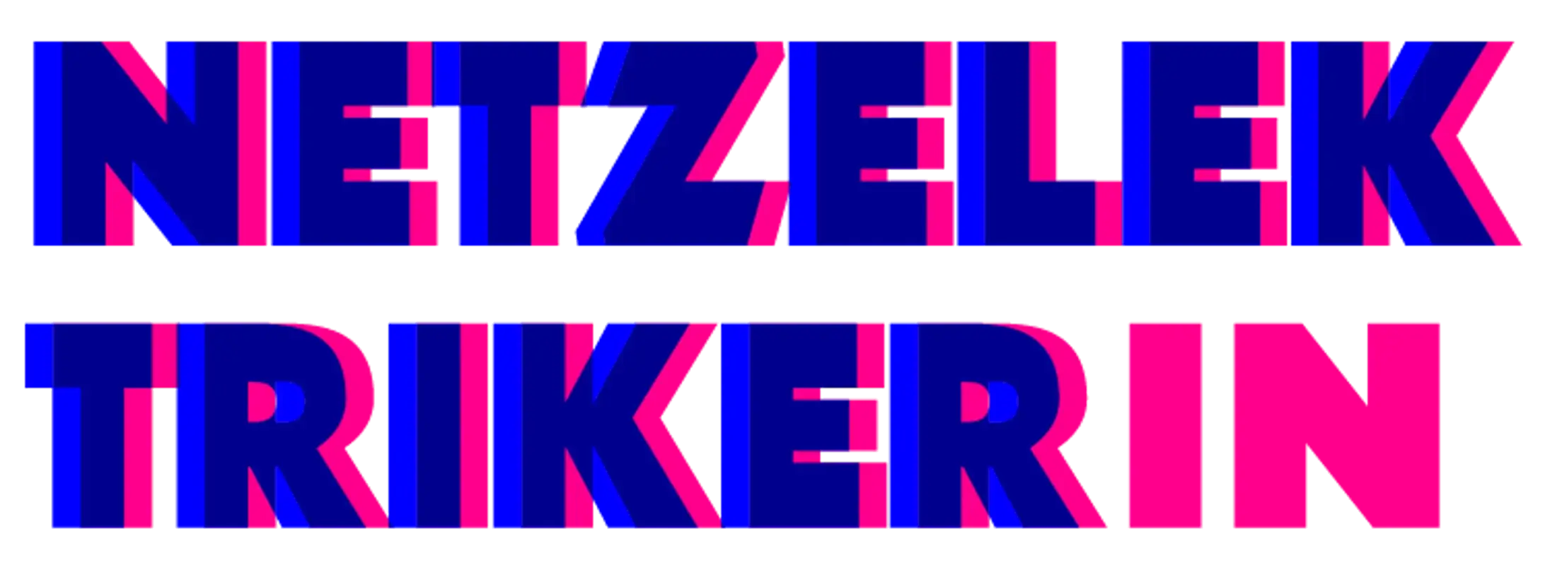 Netzelektriker.ch