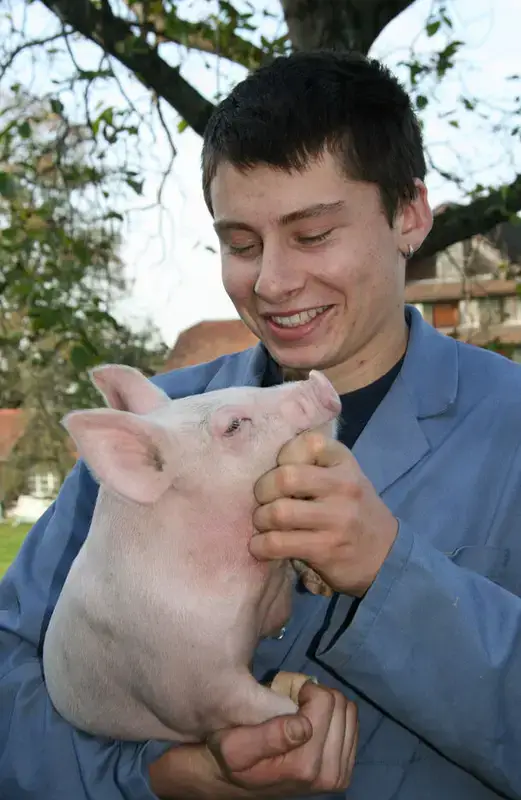 Landwirt/in EFZ Schweinhaltung